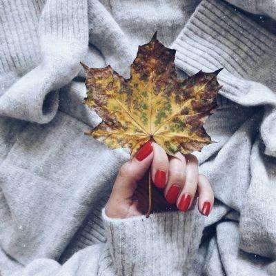 246天天好彩下载手机版截图